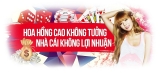 Nhà cái D9bet cung cấp hạng mục nào?