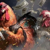 Đá gà trực tiếp hôm nay có mang đến lợi ích cho người chơi.